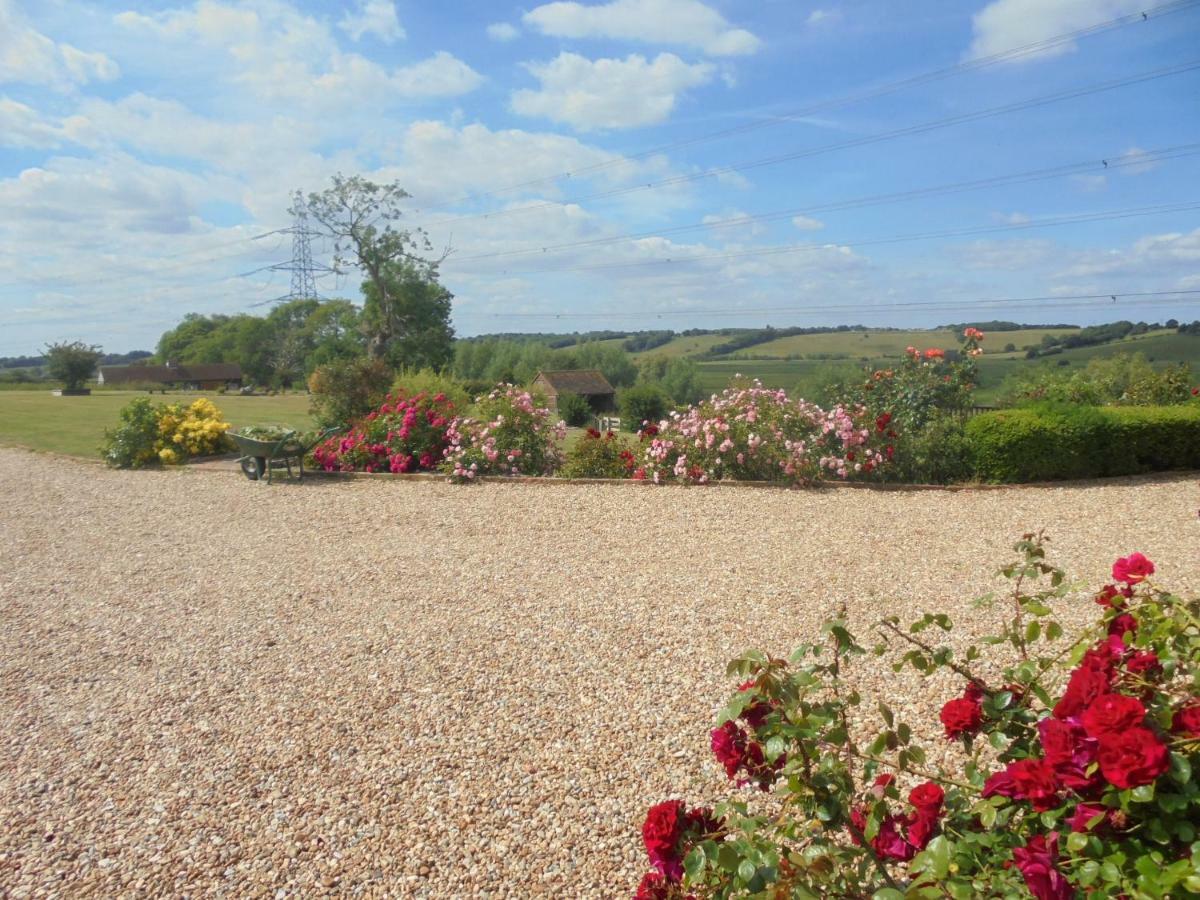 Rose Cottage Rye Luaran gambar